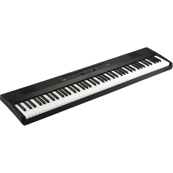 Korg L1 Liano