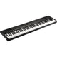 Korg L1 Liano