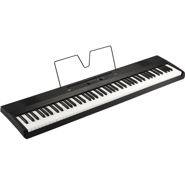 Korg L1 Liano