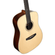 Alvarez LD70E Laureate Dreadnought Acoustic-Electric Guitar (Daybreak)