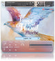 Voices of Wind Collection - 3