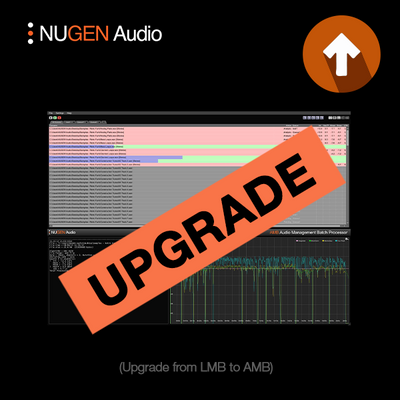 NUGEN Audio NUGEN AMB < LMB UPG