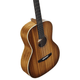Alvarez LT66E Laureate 12-Fret 000 Acoustic-Electric Guitar (Daybreak)