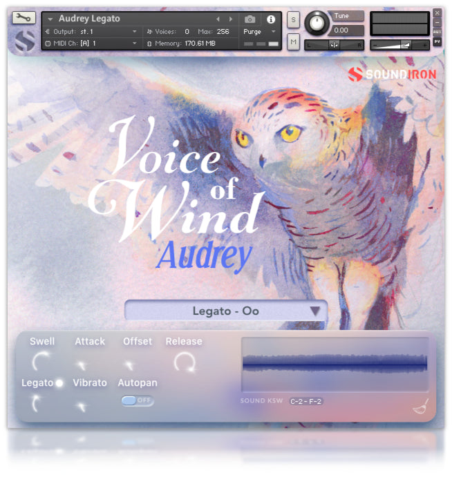 Voice of Wind: Audrey - 3