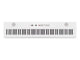 Korg Korg Liano Live 88-Key Digital Piano/MIDI Controller