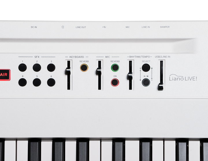 Korg Korg Liano Live 88-Key Digital Piano/MIDI Controller