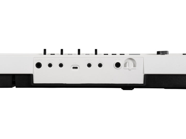 Korg Korg Liano Live 88-Key Digital Piano/MIDI Controller