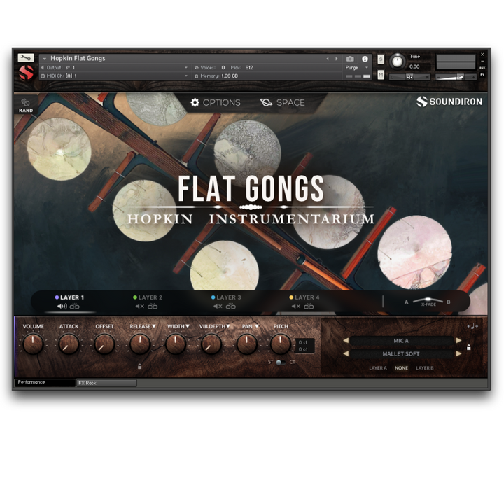 Hopkin Intrumentarium: Flat Gongs - 1