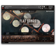 Hopkin Intrumentarium: Flat Gongs - 1