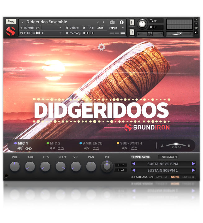 Didgeridoos - 1