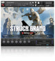 Struck Grand Piano - 1