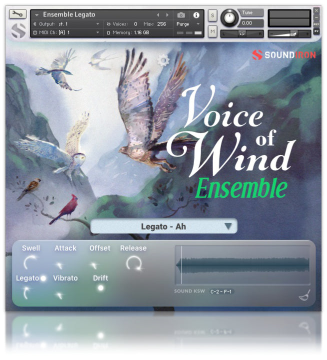 Voices of Wind Collection - 1