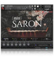 Mini Saron - 1