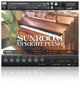 Sunroom Upright Piano - 1