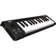 Korg Korg MicroKEY 25 USB MIDI Keyboard (Open Box)