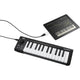 Korg Korg MicroKEY 25 USB MIDI Keyboard (Open Box)