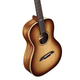 Alvarez MP60E Masterworks Parlor Acoustic-Electric Guitar (Shadowburst)