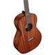 Alvarez MP66 Masterworks Parlor Acoustic Guitar (Shadowburst)