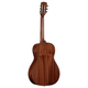 Alvarez MP66E Masterworks Parlor Acoustic-Electric Guitar (Shadowburst)