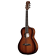 Alvarez MP66E Masterworks Parlor Acoustic-Electric Guitar (Shadowburst)