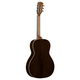 Alvarez MP70E Masterworks Parlor Acoustic-Electric Guitar (Shadowburst)