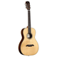 Alvarez MP70E Masterworks Parlor Acoustic-Electric Guitar (Shadowburst)