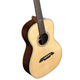 Alvarez MP70E Masterworks Parlor Acoustic-Electric Guitar (Shadowburst)