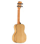 Alvarez MU55C Masterworks Concert Ukulele (Natural Gloss)