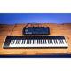 Korg Multi/Poly Module