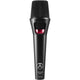 Austrian Audio OD303 Handheld Dynamic Vocal Microphone