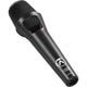 Austrian Audio OD303 Handheld Dynamic Vocal Microphone