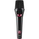 Austrian Audio OD505 Handheld Dynamic Vocal Microphone