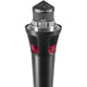 Austrian Audio OD505 Handheld Dynamic Vocal Microphone