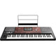 Korg Pa700 Oriental