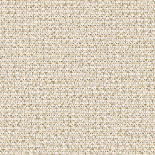 Axiom GoM Fabric