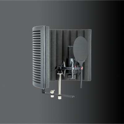 SE Electronics X1SSB X1 S Microphone with Reflexion Filter X, Shockmount and Cable Pack – front view
