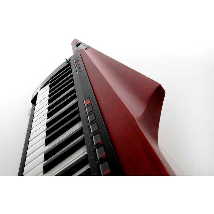 Korg RK100S2