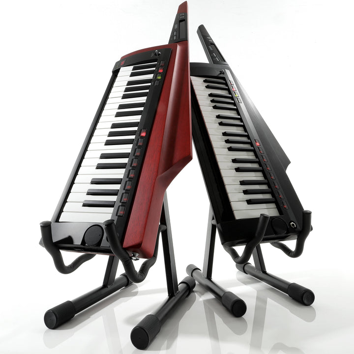 Korg RK100S2