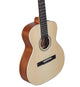 Alvarez RS26N Regent Nylon-String Student Acoustic Guitar (Natural Satin)