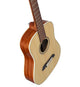 Alvarez RT26 Regent Travel-Size Acoustic Guitar (Natural Gloss)