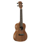 Alvarez RU22CP Regent Concert Ukulele Pack (Natural Satin)