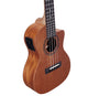 Alvarez RU22CCE Regent Concert Cutaway Acoustic-Electric Ukulele (Natural Satin)