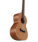 Alvarez RU22T Regent Tenor Ukulele (Natural Satin)