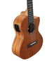 Alvarez RU22TCE Regent Tenor Cutaway Acoustic-Electric Ukulele (Natural Satin)