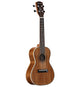 Alvarez RU90CP Regent Concert Ukulele Pack (Semi Gloss)