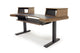 Argosy Radius Composer for 61 Keys, Splayed Top, 2) Steel Legs, Bullnose Edge - Walnut Trim Upgrade