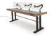Argosy Radius Signature w/78" Straight Top, Height Adjustable Steel Legs, Bullnose Edge - Standard Trim