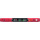 Focusrite RED-8LINE
