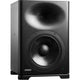 Genelec S360A