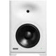 Genelec S360A